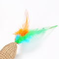 Cat Toy Feather Cardboard Scrather Toy Kitten